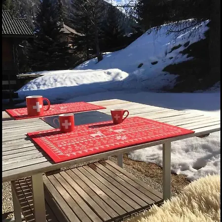 Chalet Grizzli 公寓
