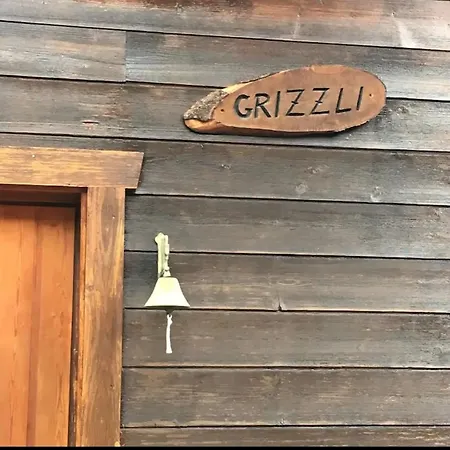 公寓 Chalet Grizzli *